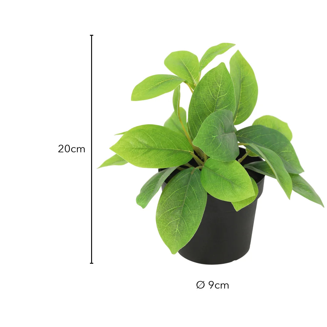 Größe künstliche Blattpflanze: 20 cm, Topf Ø 9 cm
