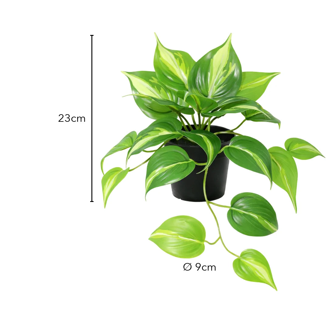Größe künstliche Efeutute: 23 cm, Topf Ø 9 cm