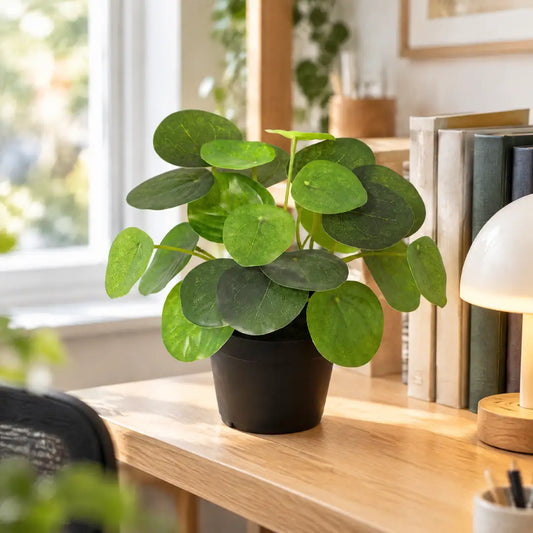 Kunstpflanze Pilea Peperomioides auf einem Holzschreibtisch im Homeoffice