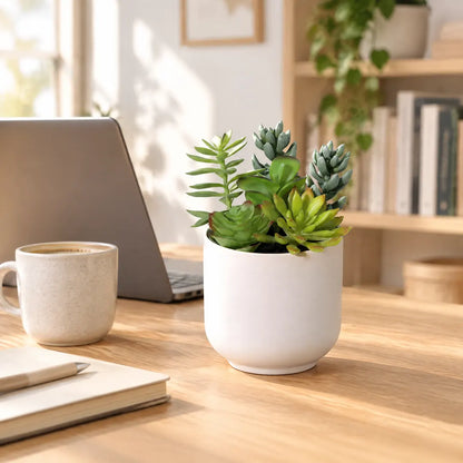 Künstlicher Sukkulenten-Mix im weißen Topf auf einem Schreibtisch neben Laptop und Kaffeetasse