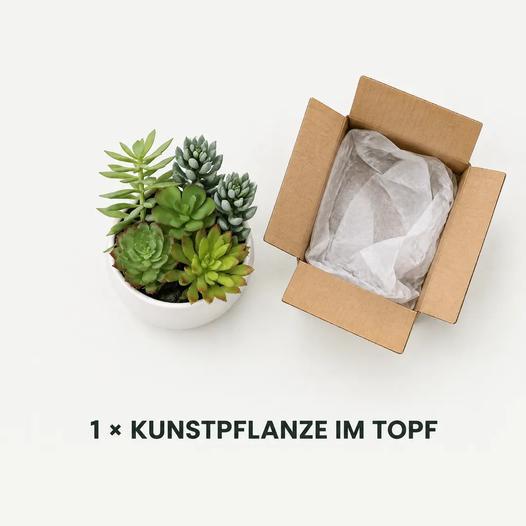 Lieferumfang von oben: eine künstliche Sukkulenten-Pflanze im weißen Topf neben dem Versandkarton