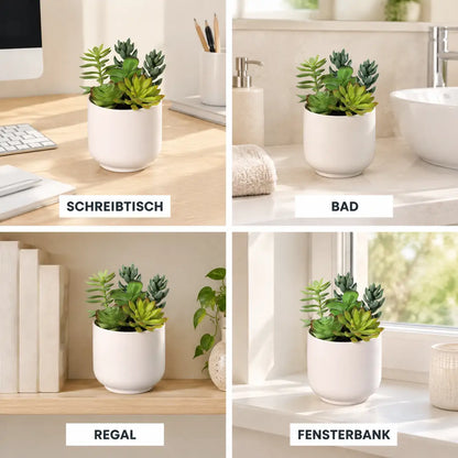 Vier Einsatzorte der Kunstpflanze: Schreibtisch, Bad, Regal und Fensterbank
