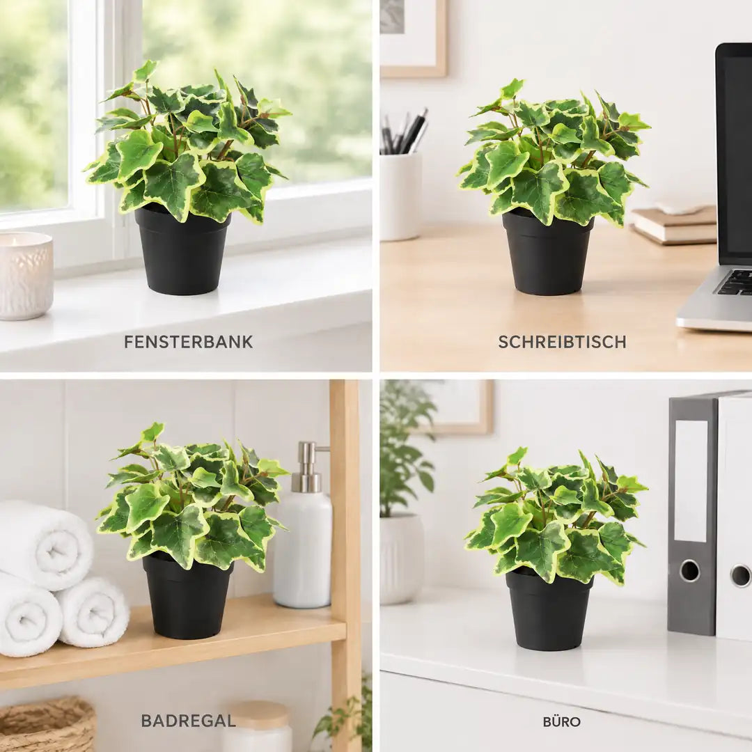 Vier Einsatzorte der Kunstpflanze: Fensterbank, Schreibtisch, Badregal und Büro
