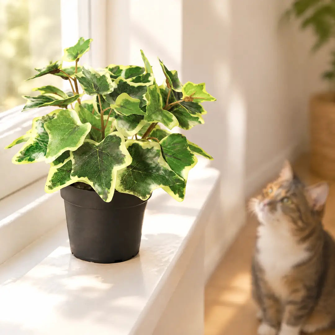 Katze blickt neugierig zur künstlichen Efeu-Pflanze auf der Fensterbank