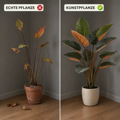 Vergleich: vernachlässigte echte Pflanze im dunklen Flur und Kunstpflanze mit roten Blättern