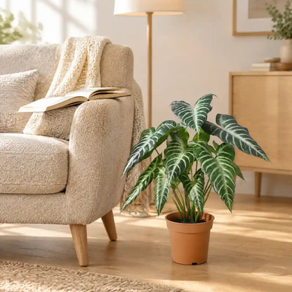 Künstliche Alocasia neben einem Sessel im hellen Wohnzimmer