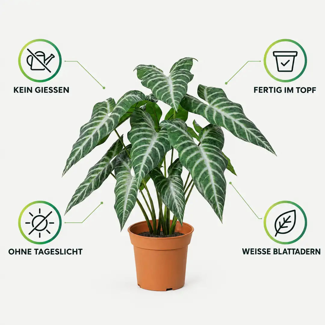 Merkmale der künstlichen Alocasia: kein Gießen, ohne Tageslicht, fertig im Topf, weiße Blattadern