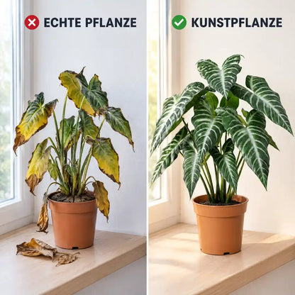 Vergleich: echte Alocasia mit gelben Blättern und künstliche Alocasia in sattem Grün