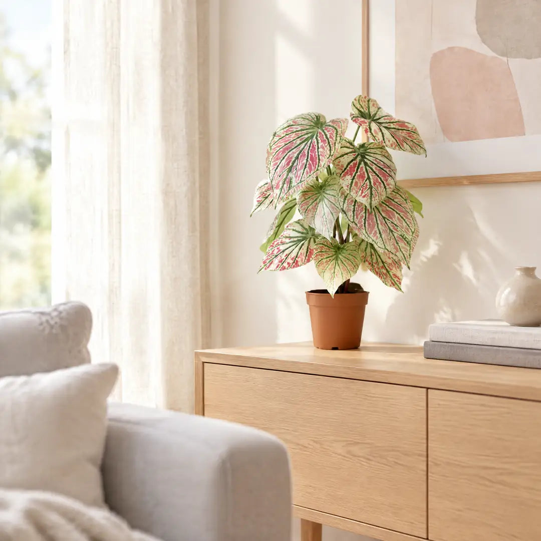 Künstliche Caladium Grün-Rosa auf einem Sideboard im Wohnzimmer