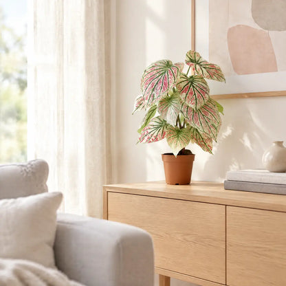 Künstliche Caladium Grün-Rosa auf einem Sideboard im Wohnzimmer