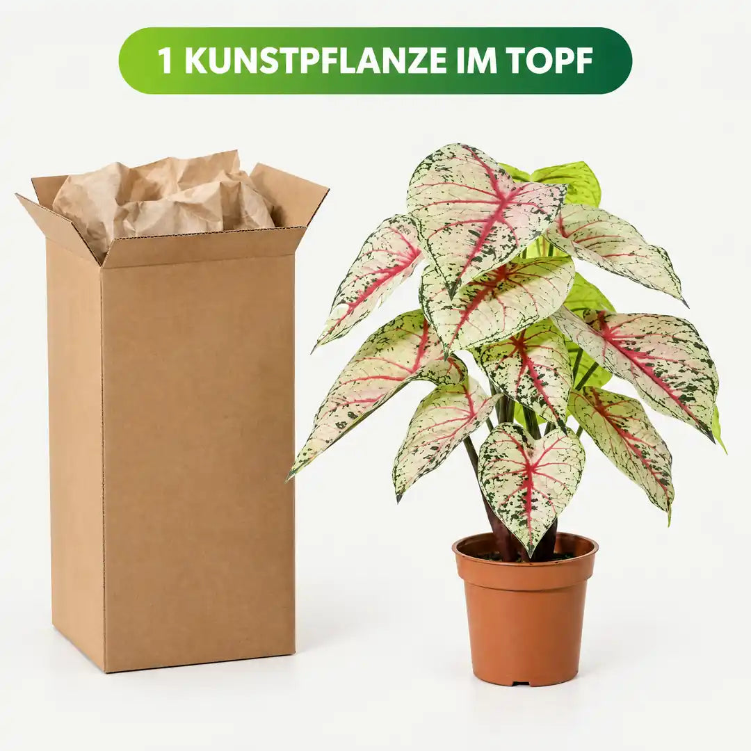 Lieferumfang: 1 künstliche Caladium im Topf mit Versandkarton