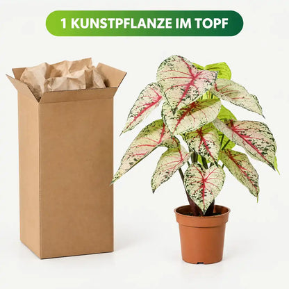 Lieferumfang: 1 künstliche Caladium im Topf mit Versandkarton