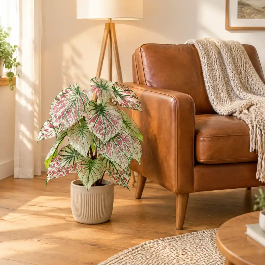 Künstliche Caladium Grün-Rosa im Übertopf neben einem Ledersessel