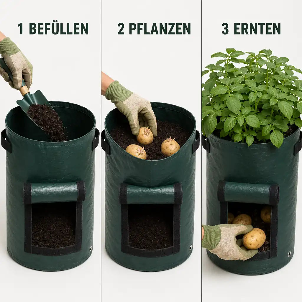 Anwendung in 3 Schritten: befüllen, pflanzen, ernten