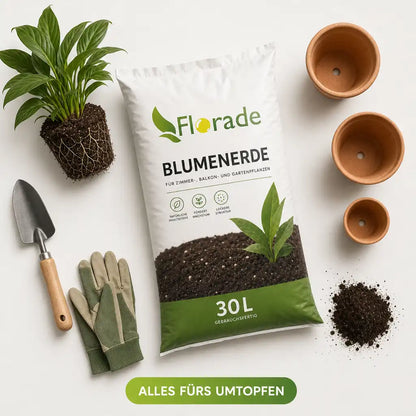 Blumenerde-Sack mit Umtopf-Zubehör im Flat-Lay