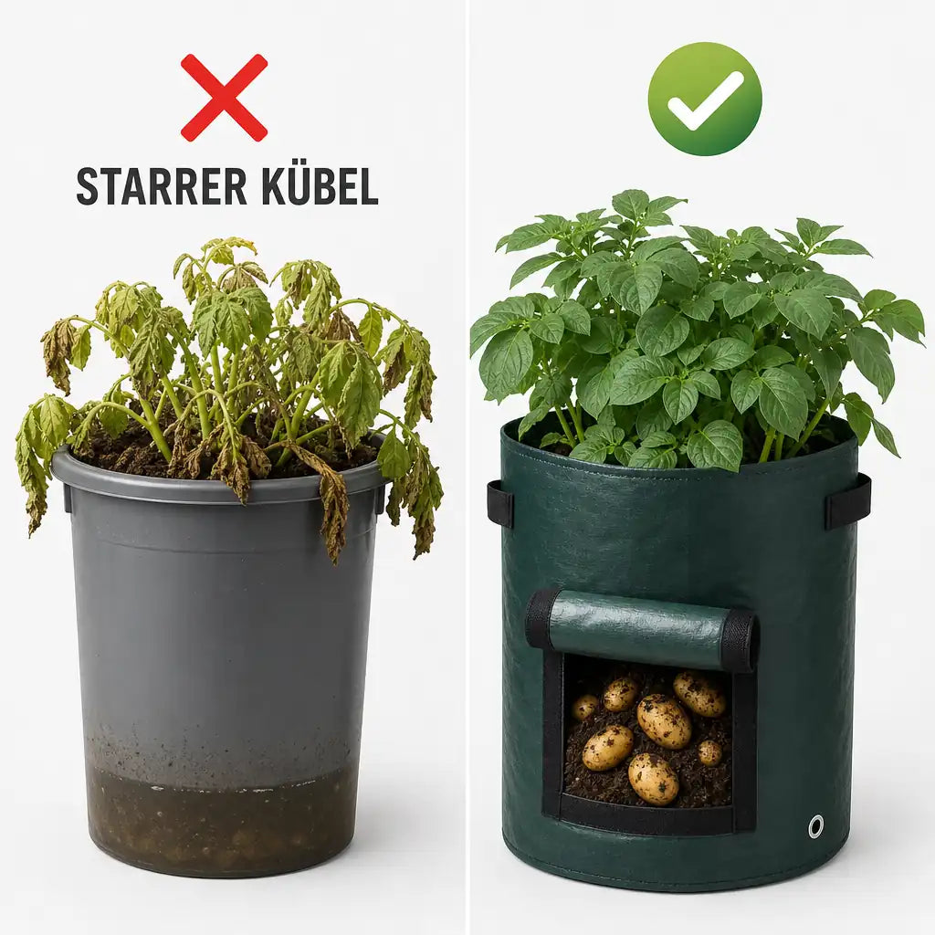 Vergleich: starrer Kübel mit Staunässe gegen Florade Kartoffel-Pflanzsack