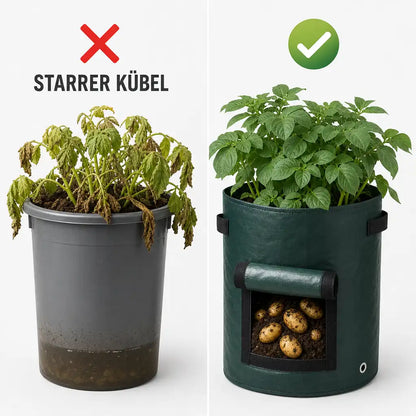 Vergleich: starrer Kübel mit Staunässe gegen Florade Kartoffel-Pflanzsack