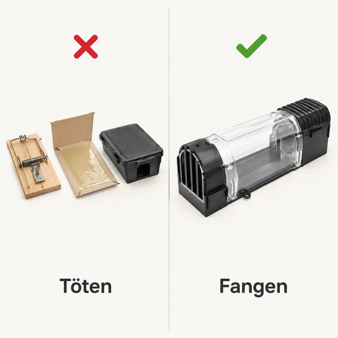 Vergleich: Schlagfalle, Klebefalle und Köderbox gegenüber der Lebendfalle
