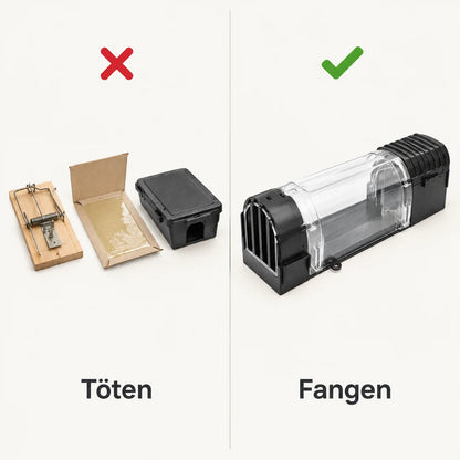 Vergleich: Schlagfalle, Klebefalle und Köderbox gegenüber der Lebendfalle