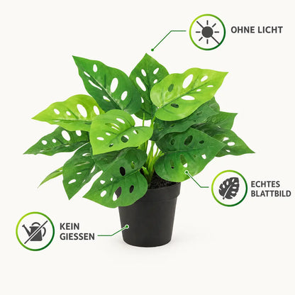 Merkmale der künstlichen Monstera: kein Gießen, kein Licht, echtes Blattbild