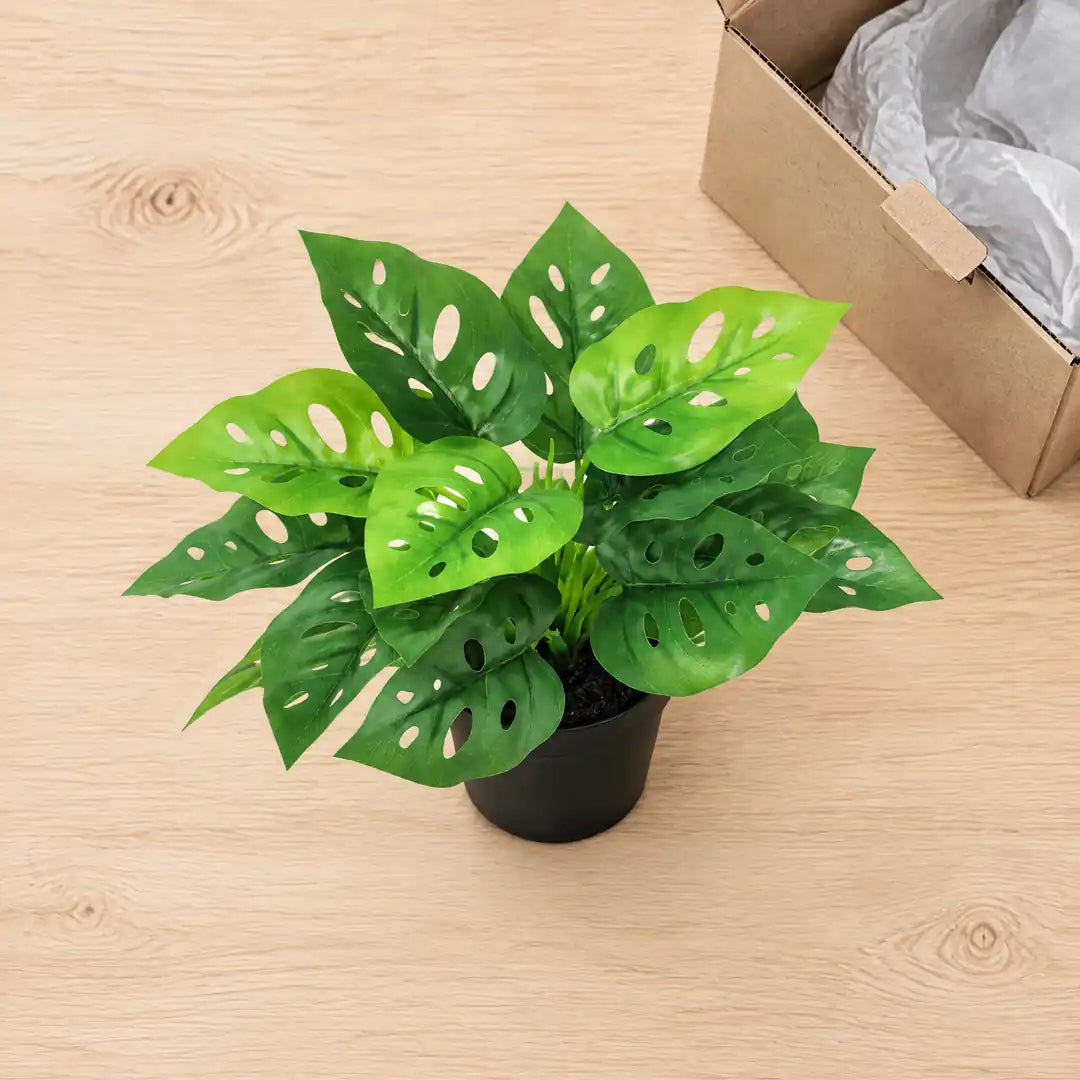 Lieferumfang von oben: künstliche Monstera im schwarzen Topf mit Verpackung