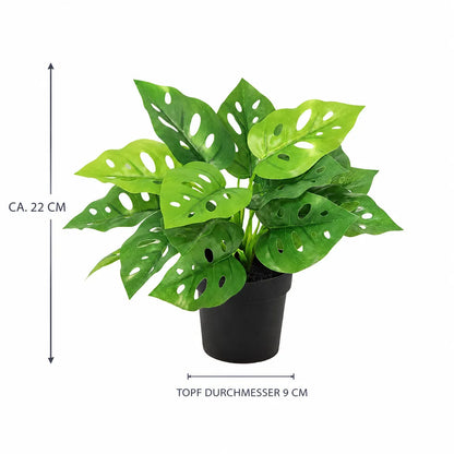 Maße der künstlichen Monstera: Höhe ca. 22 cm, Topf-Durchmesser 9 cm