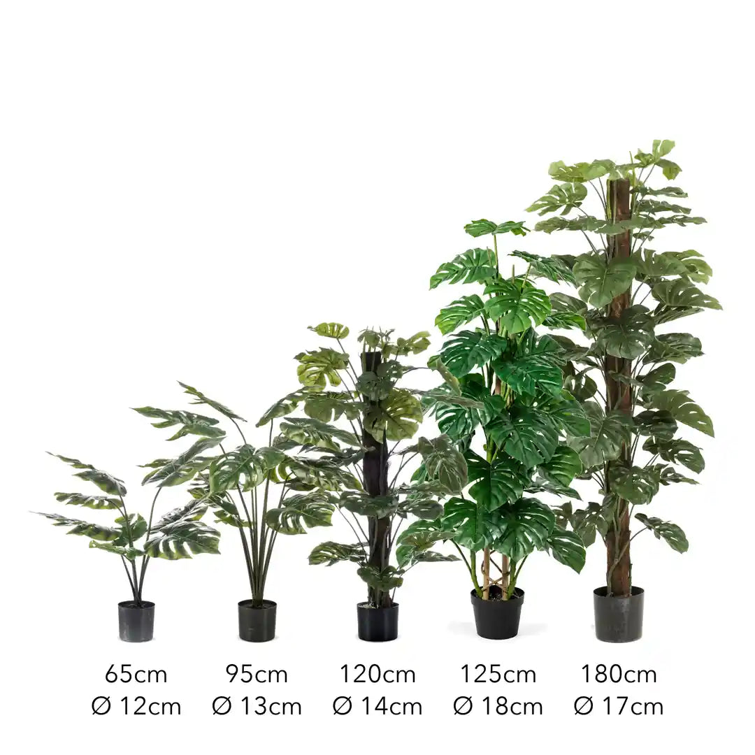 Größen der künstlichen Monstera: 65, 95, 120, 125 und 180 cm, Töpfe Ø 12 bis 18 cm