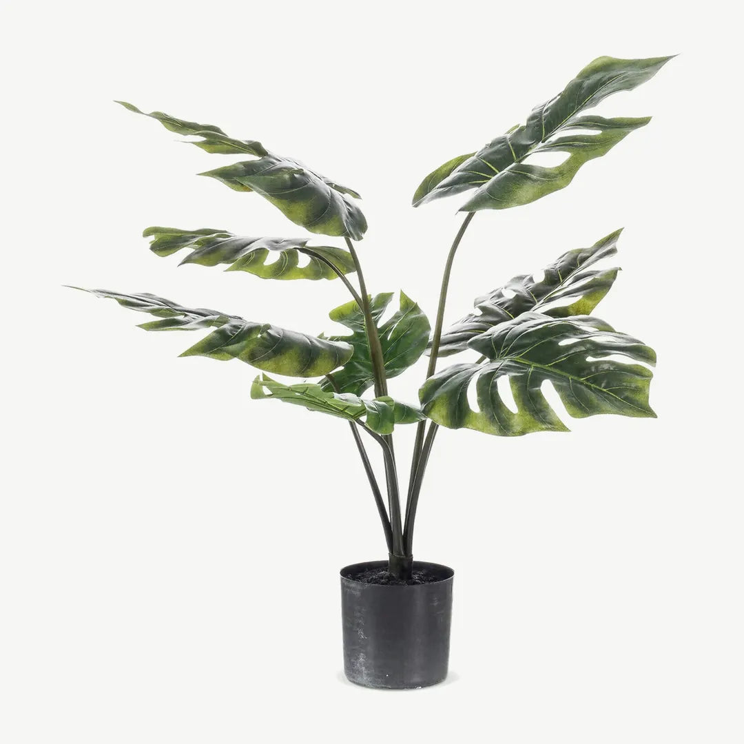 Künstliche Monstera 65 cm als Busch im schwarzen Topf Ø 12 cm