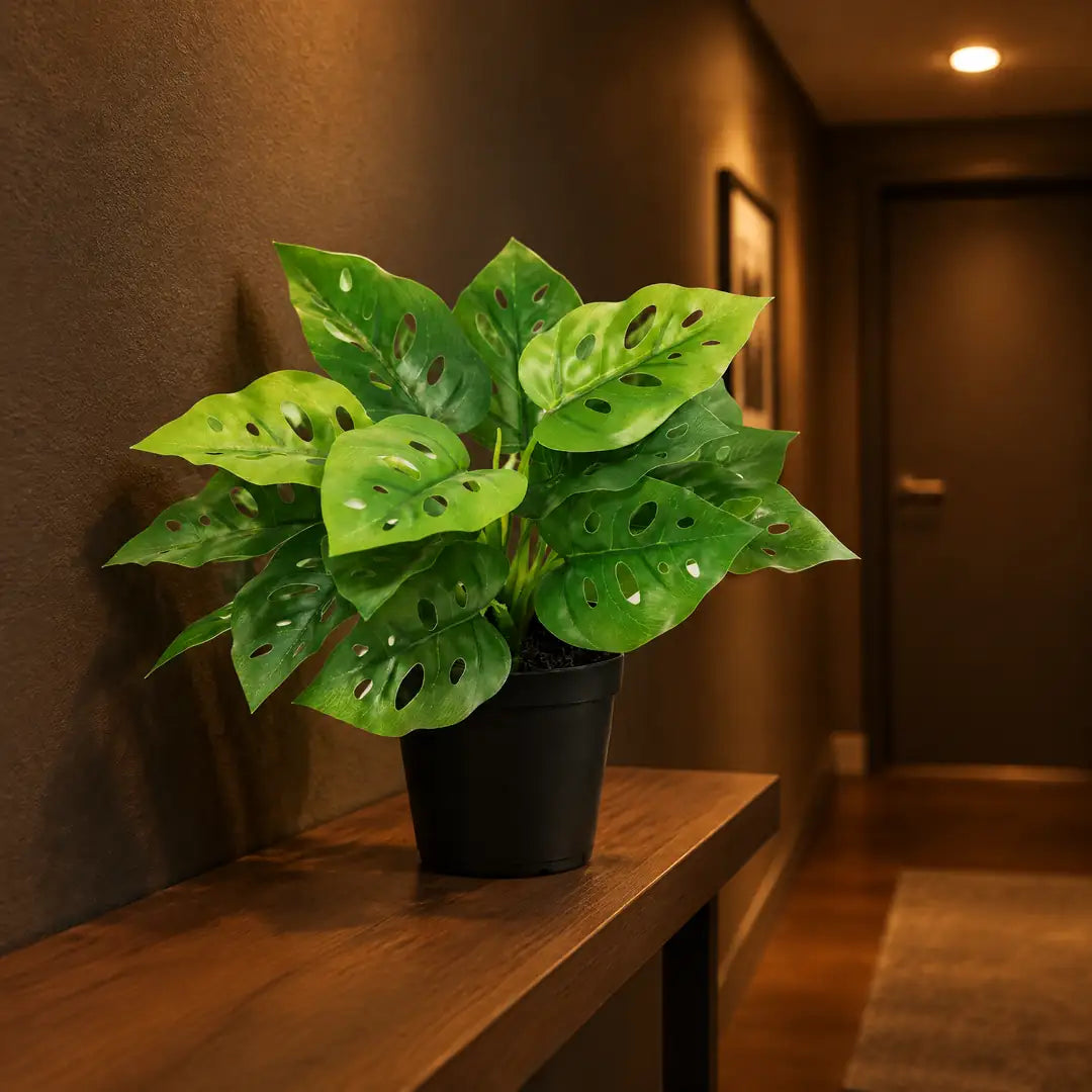 Künstliche Monstera als grüner Akzent in einem dunklen, fensterlosen Flur