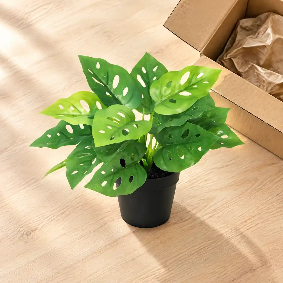 Künstliche Monstera im schwarzen Topf direkt nach dem Auspacken, Flat-Lay von oben