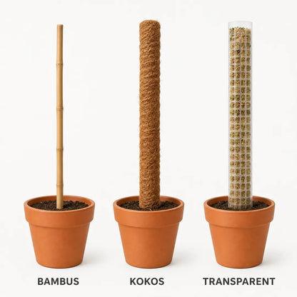 Vergleich von Bambusstab, Kokosstab und transparentem Moosstab