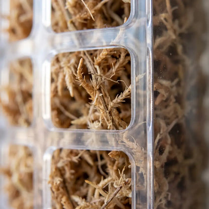 Makroaufnahme der quadratischen Öffnungen mit Sphagnum-Moos dahinter