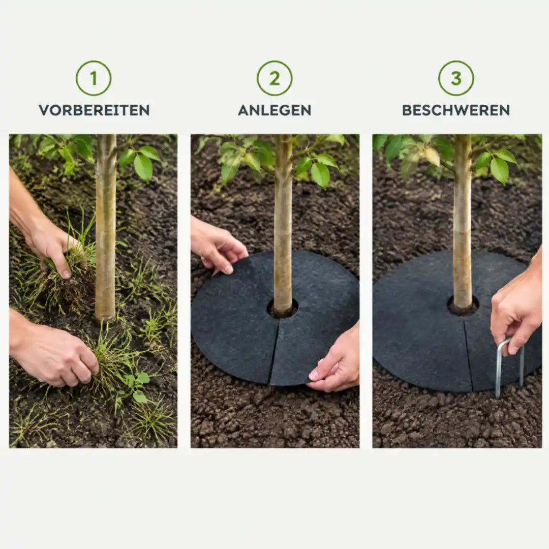 Mulchscheibe in drei Schritten: vorbereiten, anlegen, beschweren