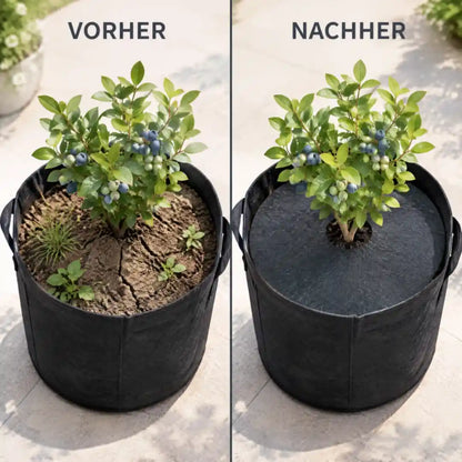 Pflanzsack mit Heidelbeere vorher mit Unkraut, nachher mit Mulchscheibe
