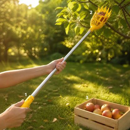 Anwendung des Obstpflückers: Aufstecken auf die Stange, Pflücken am Ast, Ernte in der Holzkiste