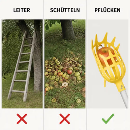 Vergleich von Leiter, Baum schütteln und Ernten mit dem Obstpflücker