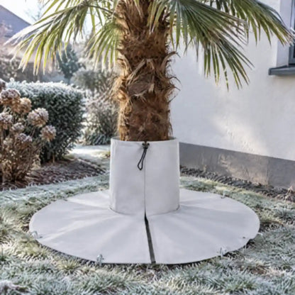 Hanfpalme im Garten mit Wurzelschutz am Stammfuß