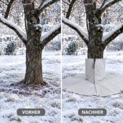 Baum im Frost vorher ohne und nachher mit Wurzelschutz