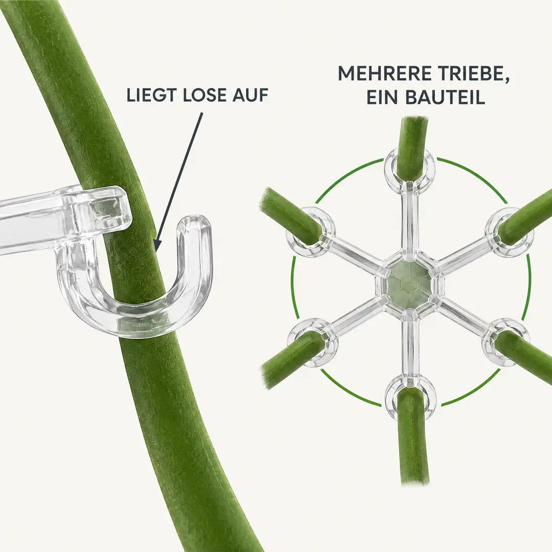 Funktionsdarstellung: Trieb liegt lose im Haken, mehrere Triebe an einem Bauteil