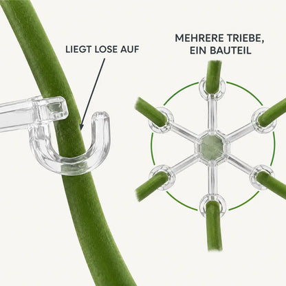 Funktionsdarstellung: Trieb liegt lose im Haken, mehrere Triebe an einem Bauteil