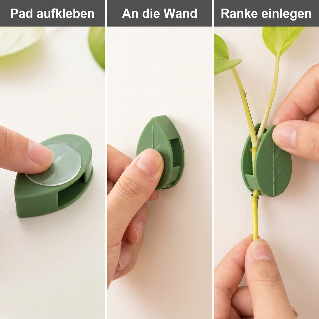 Anwendung in drei Schritten: Klebepad aufkleben, Clip an die Wand drücken, Ranke einlegen
