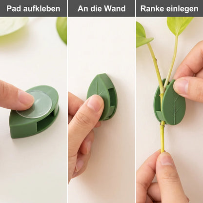 Anwendung in drei Schritten: Klebepad aufkleben, Clip an die Wand drücken, Ranke einlegen