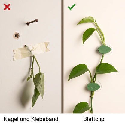 Vergleich: Nagel und Klebeband mit beschädigter Wand gegenüber sauber geführter Ranke mit Blattclip