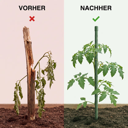 Vorher-Nachher-Vergleich morsche Holzstange und Florade Pflanzstab