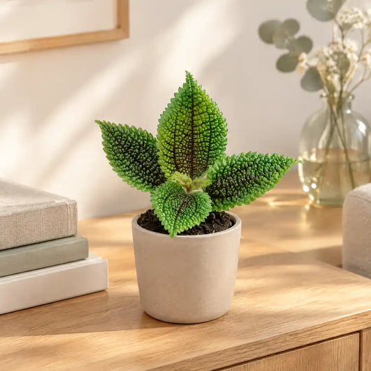 Pilea Moon Valley im beigen Keramik-Übertopf auf einem Eichen-Sideboard im hellen Wohnzimmer