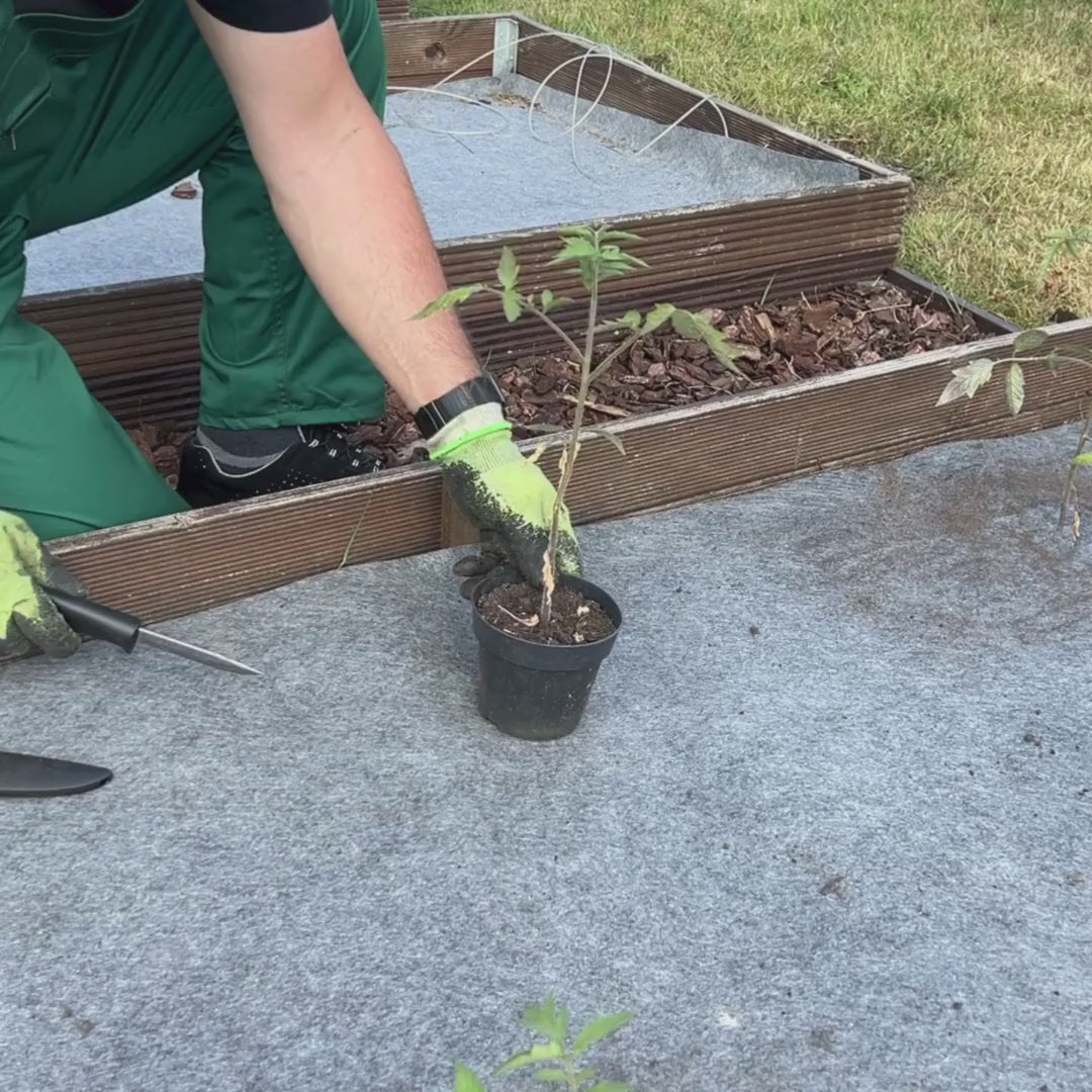 Unkrautvlies 100g/m² | Gartenvlies zur Unkrautbekämpfung und Bodenschutz