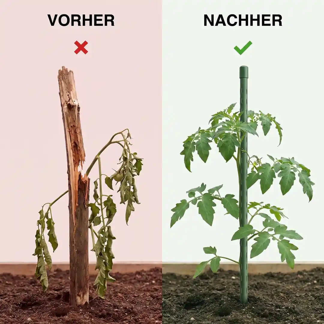 Vorher-Nachher-Vergleich morsche Holzstange und Florade Pflanzstab