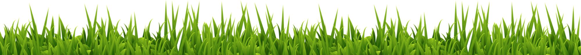 rasen_boden - Florade.de