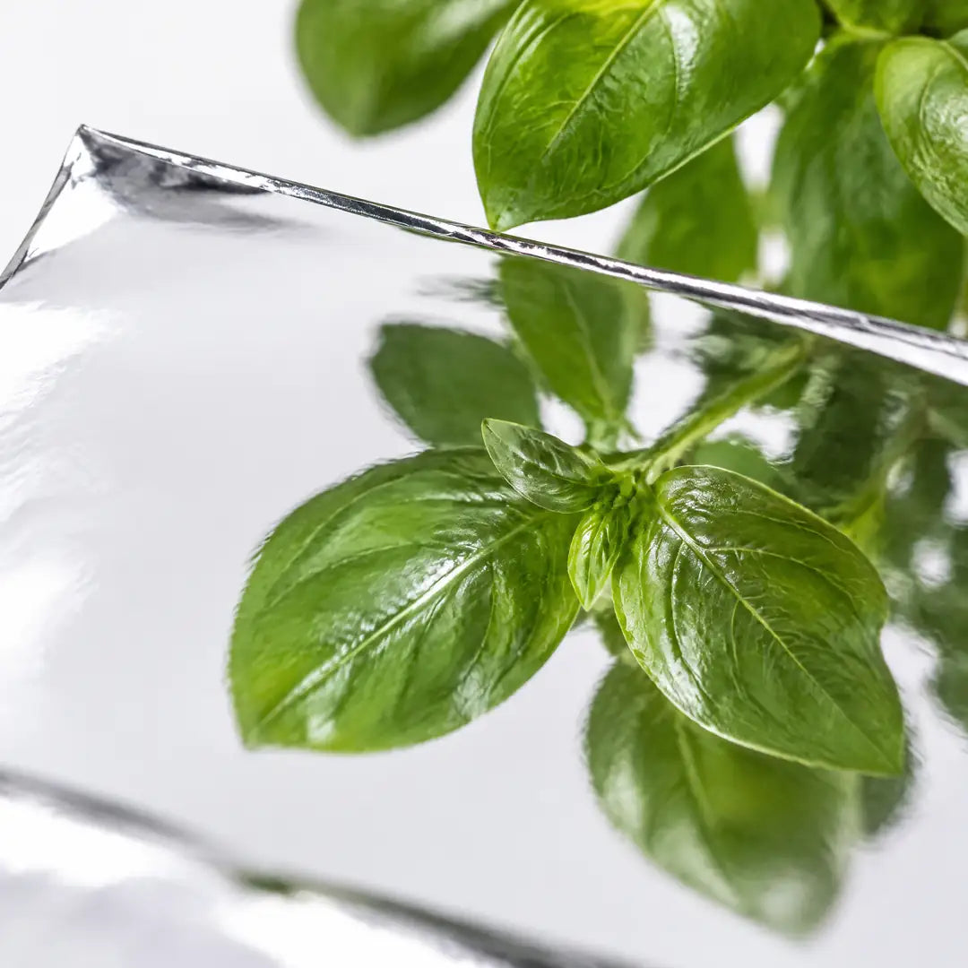 Basilikum spiegelt sich in der glatten Silberfolie