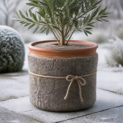 Terrakottatopf mit Schafwollmatte als Winterschutz umwickelt